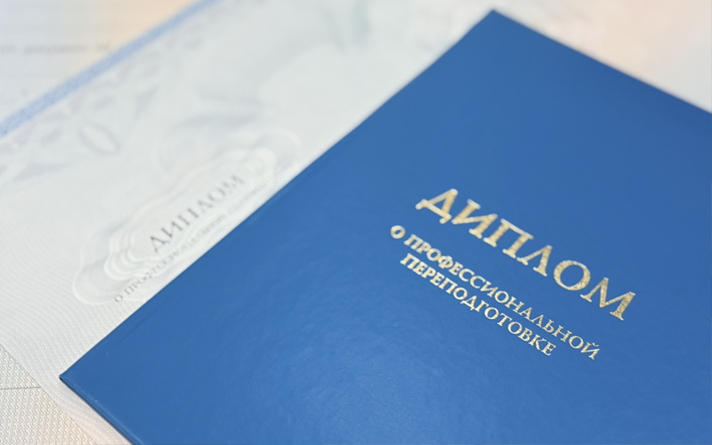Профессиональная переподготовка (ДПО)